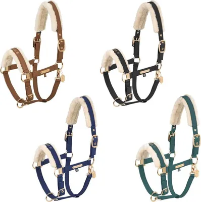 Produktbild von Eskadron HERITAGE Halfter " FAUX LEATHER DOUBLE PIN FF " Größe - Warmblut Farbe - true blue