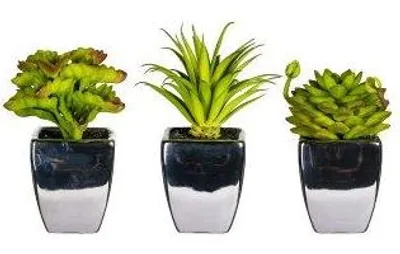 Produktbild von artplants.de Deko Sukkulenten Gesteck WASKY im Keramiktopf, 3 Stück, grün, 13cm - Künstliches Gesteck