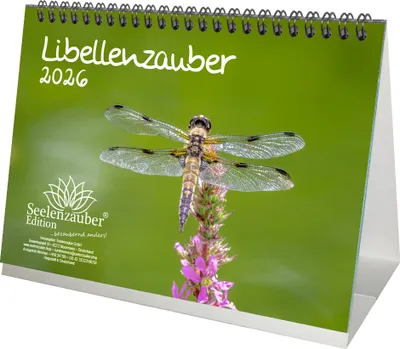 Produktbild von Libellenzauber DIN A5 Tischkalender für 2026 - Seelenzauber