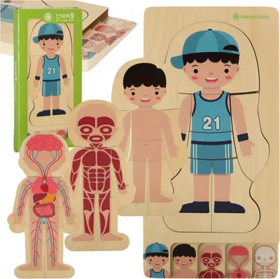 Obrázok produktu pre Drevené vrstvené puzzle Montessori – Ľudské telo (anatómia), vzdelávacie 28 dielikov