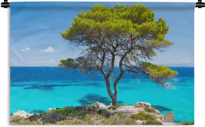 Produktbild von MuchoWow® Wandteppich Wandbehang Baum - Meer - Tropisch - Sommer 90x60 cm Tapisserie Dekoration Wandtuch - Wandskulpturen - Bildteppich