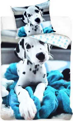Produktbild von Baumwollbettwäsche Hund Dalmatiner