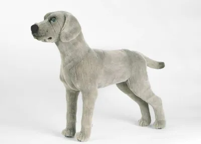 Produktbild von Kösen Weimaraner Stofftier aus Webfell, grau, 47 cm lang, 14 cm breit, 38 cm hoch