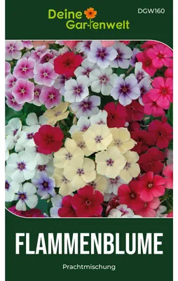 Produktbild von Deine Gartenwelt Flammenblumen Prachtmischung - Saatgut für ca. 50 Pflanzen