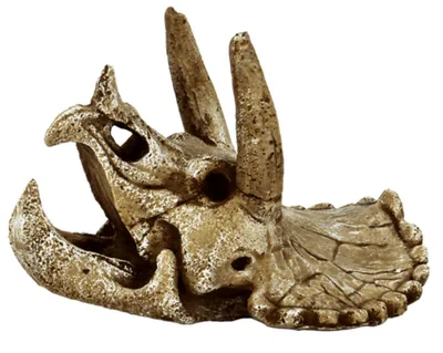 Productafbeelding van SuperFish Skull Triceratops M