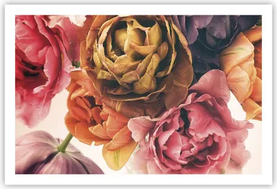 Produktbild von Poster - Poster ohne Rahmen - Blumenstrauß Blumen Braut - 91,5x61 cm - Wand Bild - Wanddeko - Wandbilder - Kunstposter - Wandposter - Bilder - Kunstdruck - Wanddekoration - Wandbild - P2XAA91x61-5025