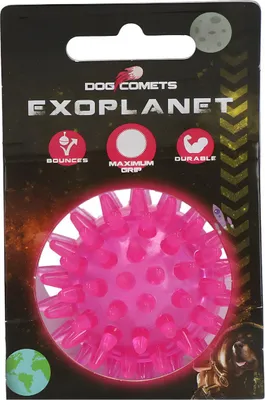 Produktbild von Dog Comets COME016Q, Hund, Kugellager, Pink, Gummi, Kauend, Zahnreinigung, 10,5 cm