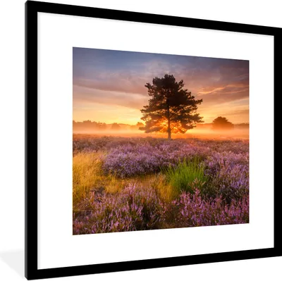 Produktbild von MuchoWow® Gerahmtes Poster Heidelandschaft mit einem Baum 40x40 cm - Poster mit Schwarzem Bilderrahmen Wandposter Rahmen Foto Bilder - Poster - Plakat im Rahmen