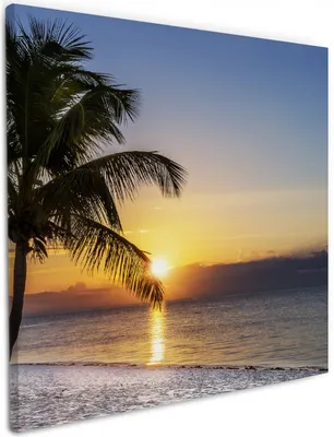 Produktbild von Wallario Premium Leinwandbild Palme am Strand - Sonnenuntergang über dem Meer in Größe 50 x 50 cm