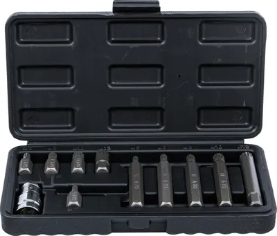 Bitset 10 mm (3/8") Innenvielzahn für XZN, 11-teilig