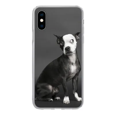 Produktbild von MuchoWow® Handyhülle Schutzhülle Hülle für iPhone X Hund - Spot - Porträt Silikon Softcase Handy Hülle