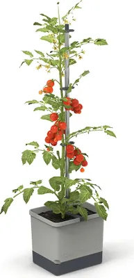 Produktbild von Gusta Garden TOM TOMATO Standard Pflanzgefäß zur Selbstbewässerung, hellgrau