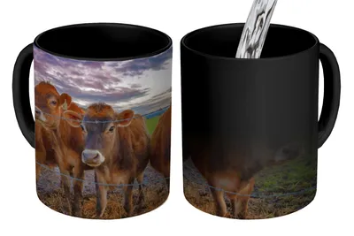 Obrázok produktu pre KitchenYeah® Magický hrnček Magický hrnček Magická krava - Zvieratá - Kravy 350 ml hrnček na zmenu farby darčekový nápad - magický hrnček - fotohrnček - keramické hrnčeky - obrázky - hrnček na kávu - nápojový hrnček - káva