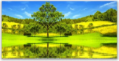 Produktbild von Acrylglasbilder 120x60 Wandbild Druck Wiese Baum Natur