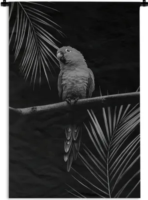 Produktbild von MuchoWow® Wandteppich Wandbehang Ein Papagei sitzt auf einem Zweig vor einem schwarzen Hintergrund - schwarz-weiß 90x135 cm Tapisserie Dekoration Wandtuch - Baumwolle - Wandskulptur