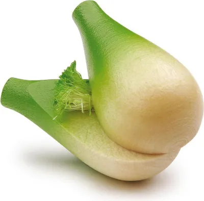 Produktbild von Erzi Fenchelknolle - Kaufladenzubehör