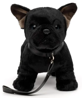 Produktbild von Uni-Toys - Eco-Line - Französische Bulldogge (schwarz) - Mit Leine - 26 cm (Länge) - Plüsch-Hund - Plüschtier, Kuscheltier – Schwarz - mit Leine