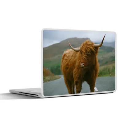 Produktbild von MuchoWow® Laptop Aufkleber Sticker Cover Schottischer Highlander - Berg - Straße 25x18 cm - Laptop-Deko