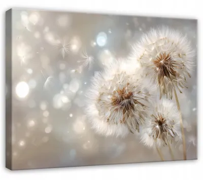 Produktbild von Leinwandbild Pusteblumen Blumen Abstrakt - 100x70 cm - Wandbilder Wohnzimmer Schlafzimmer - Leinwand Leinwandbild Beige - PP16160O1