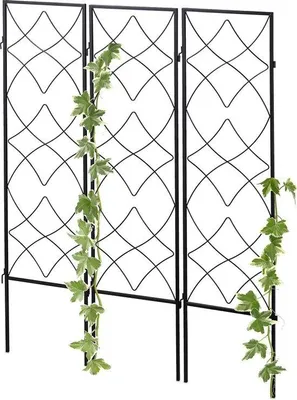 Produktbild von Famanu Pflanzenstütze Set 3 Stück für den Boden - Pflanzenhalter für Kletterpflanzen 122 x 31 cm - Spalier schwarz