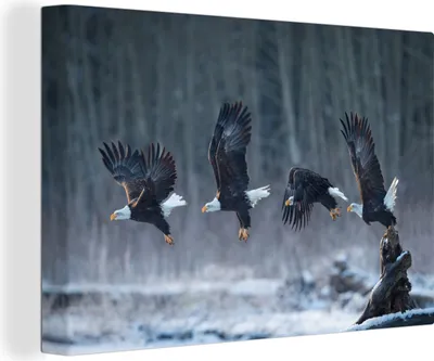 Zdjęcie produktu dla OneMillionCanvasses® - Wydruki na płótnie - 140x90 cm, Orzeł startuje, grafika ścienna dekoracja ścienna
