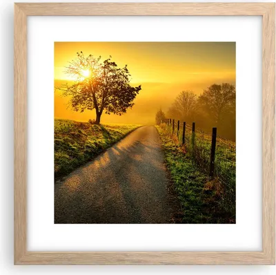 Produktbild von Gerahmtes Poster - Rahmen in heller Eiche - Feld Straße Baum - 30x30 cm - Wand Bild - Wanddeko - Wandbilder - Kunstposter - Wandposter - Bilderrahmen - Bilder - Kunstdruck - Wandbild - P2NAC30x30-3851