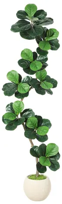 Produktbild von Künstliche Ficus Lyrata (210 cm) – Realistische Zimmerpflanze für Zuhause, Büro und Terrasse, pflegeleicht