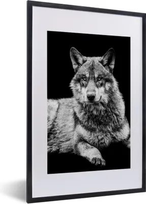Produktbild von MuchoWow® Gerahmtes Poster Wildlife - Wolf - Schwarz - Weiß 40x60 cm - Poster mit Schwarzem Bilderrahmen Wandposter Rahmen Foto Bilder - Poster in Rahmen