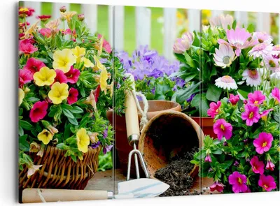 Produktbild von Bild auf Leinwand - Leinwandbild - Pflanzen Garten Frühling Natur - 165x110cm - Wand Bild - Wanddeko - Leinwanddruck - Bilder - Kunstdruck - Leinwand bilder - Wandkunst - CE165x110-2682