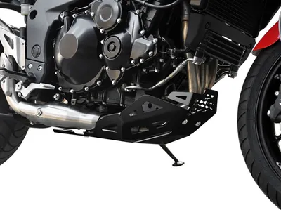 Produktbild von ZIEGER Motorschutz kompatibel mit Triumph Tiger 1050 schwarz