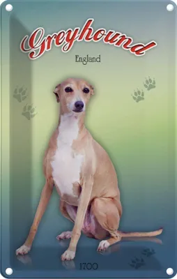 Produktbild von vianmo Blechschild 18x12 cm Hund Greyhound England Tier Haustier