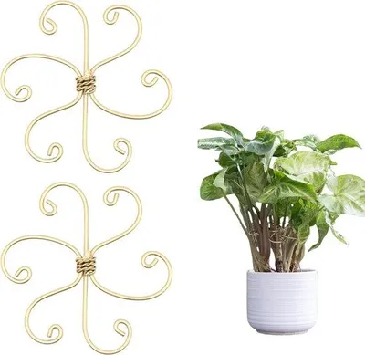 Immagine prodotto di Set di 2 supporti per piante, realizzati in acciaio resistente per Monstera e piante rampicanti, con morsetti in bambù per stabilizzare le foglie e sostenere la crescita delle piante