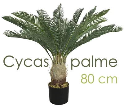 Obrázek produktu pro Umělá palma velká umělá palma umělá rostlina cycas palma cycas palma umělá plastová rostlina balkonová palma kapradí kapradí palma dekorace 80 cm vysoká Decovego