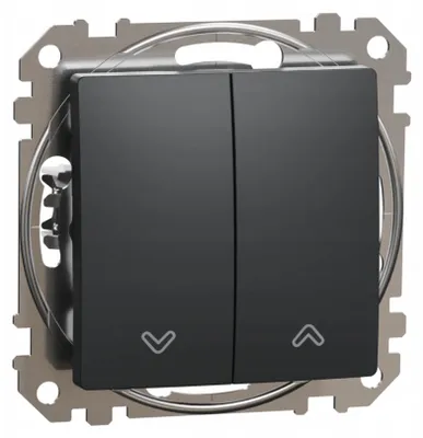 Image de Bouton poussoir Schneider Electric SEDNA SDD114114 10A anthracite