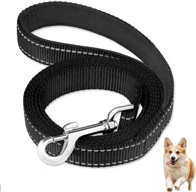 Produktbild von Unyqoos® Reflektierende Hundeleine 1,5 m x 2,6 cm – 360° Sichtbarkeit, gepolsterte Neopren-Griffe, Kurzführer & D‑Ring, Nylon mit Metallteilen, für 10–90 kg