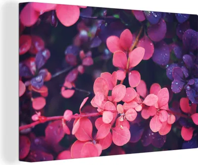 Zdjęcie produktu dla OneMillionCanvasses® - Obrazy na płótnie - 140x90 cm, Kwiaty - Fioletowy - Natura, Dekoracja ścienna - Zdjęcie na płótnie - Obraz na drewnianej ramie