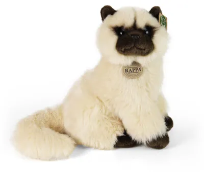 Produktbild von Plüschkatze, Britisch Kurzhaar, 30 cm, umweltfreundlich