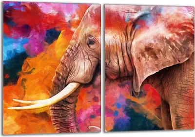 Produktbild von Glasschutzplatte für den Herd 2x40x52 Elefant