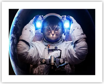 Produktbild von Poster - Poster ohne Rahmen - Kosmonaut Katze - 50x40 cm - Wand Bild - Wanddeko - Wandbilder - Kunstposter - Wandposter - Bilder - Kunstdruck - Wanddekoration - Wandbild - P2XAA50x40-3734