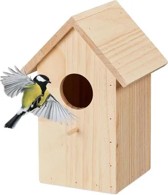 Immagine prodotto di Casetta nido in legno non trattato con sportello ribaltabile per cince e codibianco