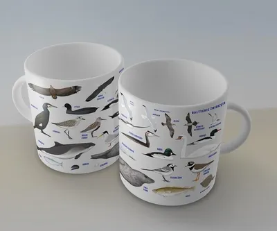 Produktbild von Becher - Tiere der Ostsee SOLITON
