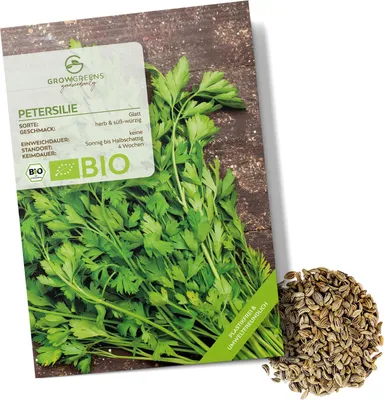 Produktbild von Petersilie Samen glatt - Küchenkräuter Saatgut aus biologischem Anbau ideal für den heimischen Kräutergarten, Balkon & Garten (300 Korn)