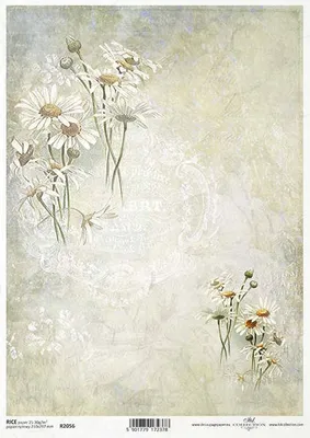 Produktbild von ITD Reispapier Decoupage Bastelpapier R2056 Kamille, Collage, Schriftzug