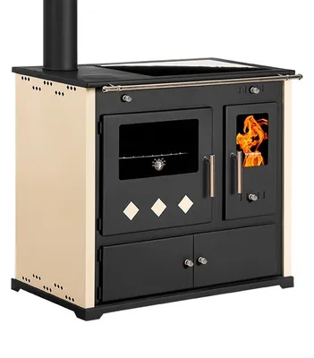 A product shot of a wood-burning stove.