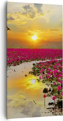 Produktbild von Bild auf Leinwand - Leinwandbild - See Blumen - 65x120cm - Wand Bild - Wanddeko - Wandbilder - Leinwanddruck - Bilder - Kunstdruck - Wanddekoration - Leinwand bilder - Wandkunst - PA65x120-3769
