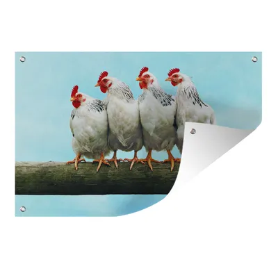 Obrázek produktu pro MuchoWow® Zahradní plakáty - Čtyři kuřata na plotě - 120x180 cm - Zahradní dekorace