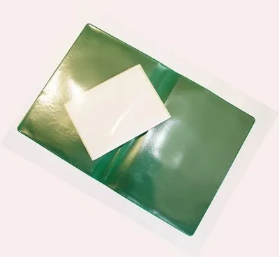 A green fishing license holder with a white card inside, lying on a white background.