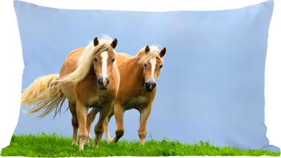Produktbild von MuchoWow® Zierkissen Sofakissen Wohnzimmer Dekokissen 50x30 cm Pferde - Gras - Luft - Wohnzimmerdekoration - Polster mit Photo