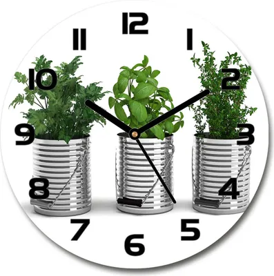 Produktbild von Wanduhr aus Glas 30fi Glasbild Glasuhr Gehärtetes Glas - schwarze-zeiger - Aromatic plants