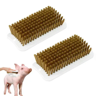 Produktbild von Schweineverwöhnbürste für Haustiere, Set von 2